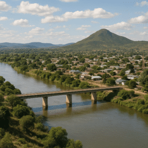 Musina